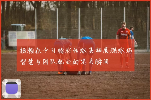 杨瀚森今日精彩传球集锦展现球场智慧与团队配合的完美瞬间